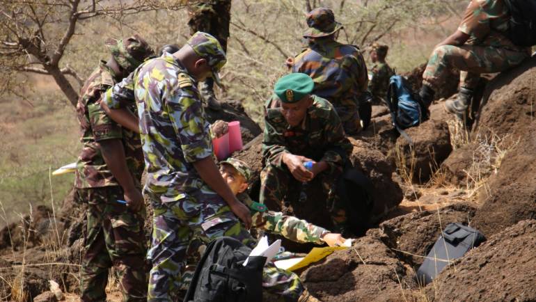 PROFESSIONAL  TRAINING IN THE FIELD