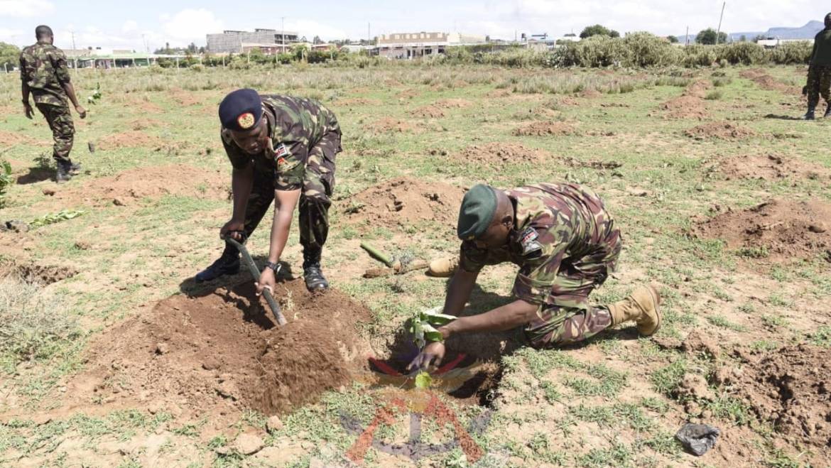AFFORESTATION OF GILGIL REGION