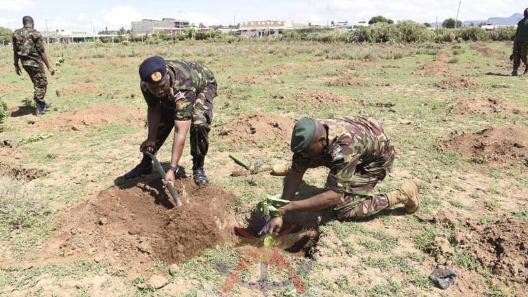 AFFORESTATION OF GILGIL REGION