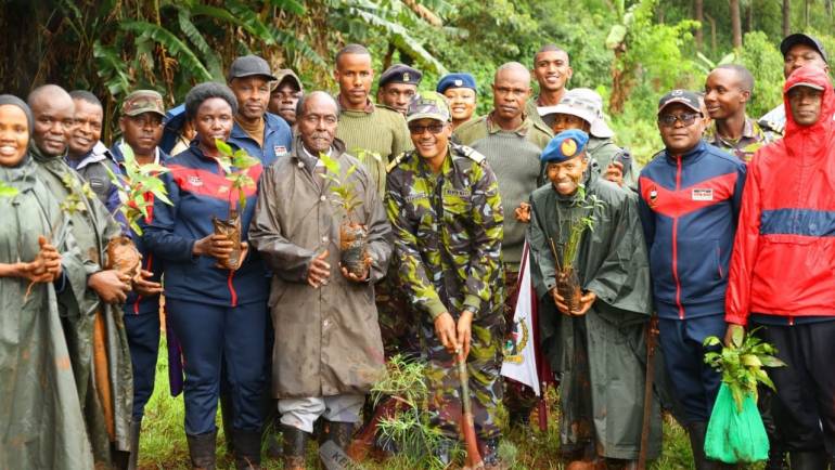 GO GREEN BY PLANTING TREES ..