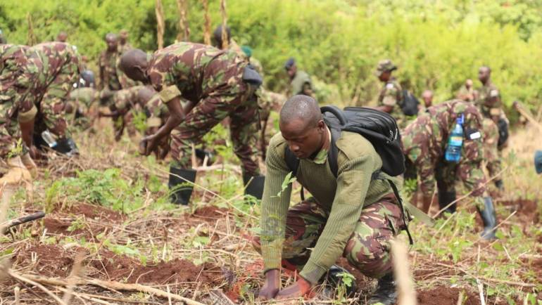 KENYA ARMY GO GREEN AT KABETE CAMPUS