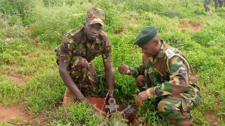COLLABORATING FOR ENVIRONMENTAL CONSERVATION IN MOYALE