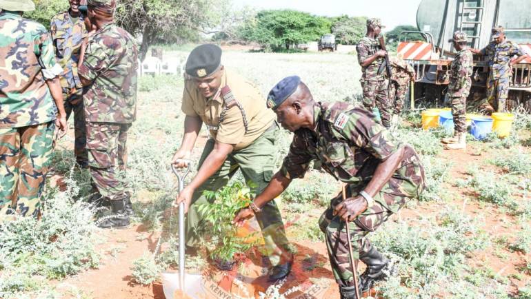 TREE GROWING AT WAJIR AIR BASE