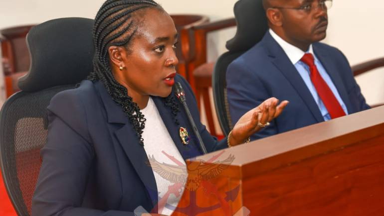 DEFENCE CS APPEARS BEFORE NATIONAL ASSEMBLY DEPARTMENTAL COMMITTEE ON SPORTS AND CULTURE