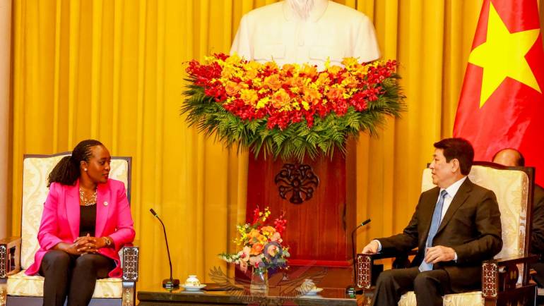 DEFENCE CS MEETS VIETNAM PRESIDENT IN HANOI 