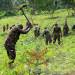 PARTNERING WITH CONSERVATIONISTS IN THE NATIONAL TREE-PLANTING DRIVE
