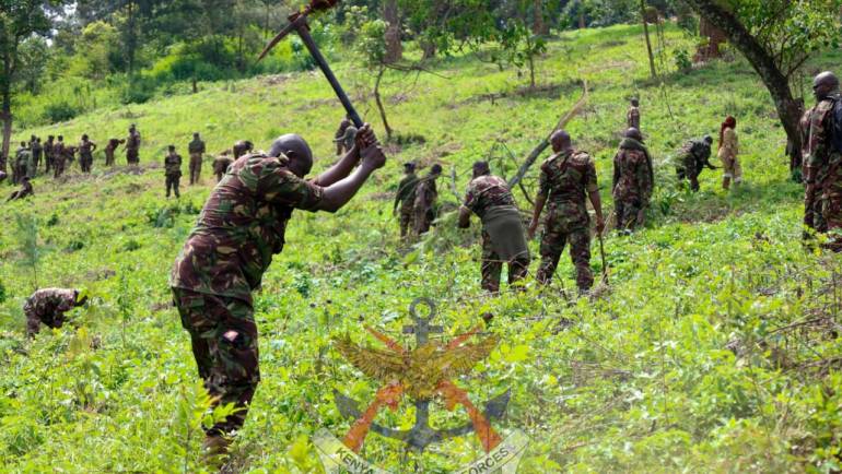 PARTNERING WITH CONSERVATIONISTS IN THE NATIONAL TREE-PLANTING DRIVE