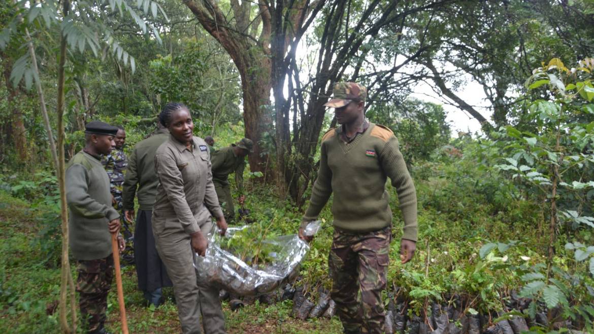 JOINT COMMAND AND STAFF COLLEGE TREE PLANTING EXERCISE