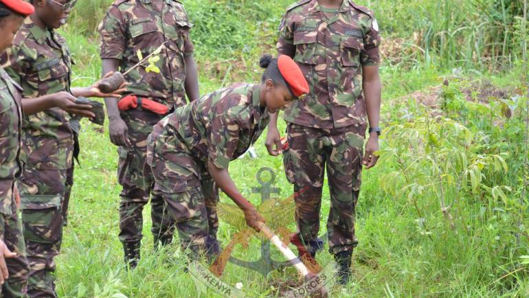 MILITARY POLICE CORPS CONDUCTS TREE PLANTING EXERCISE