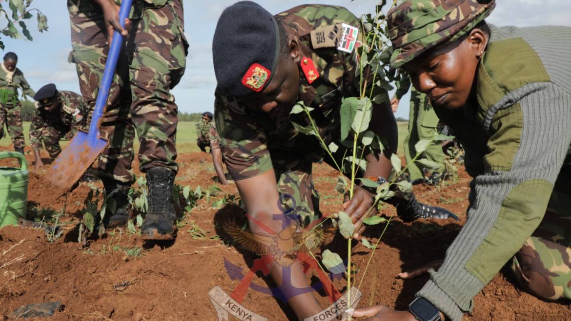 DFRTS TREE PLANTING INITIATIVE: A COMMITMENT TO ENVIRONMENTAL CONSERVATION