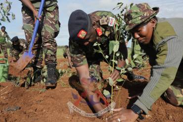 DFRTS TREE PLANTING INITIATIVE: A COMMITMENT TO ENVIRONMENTAL CONSERVATION