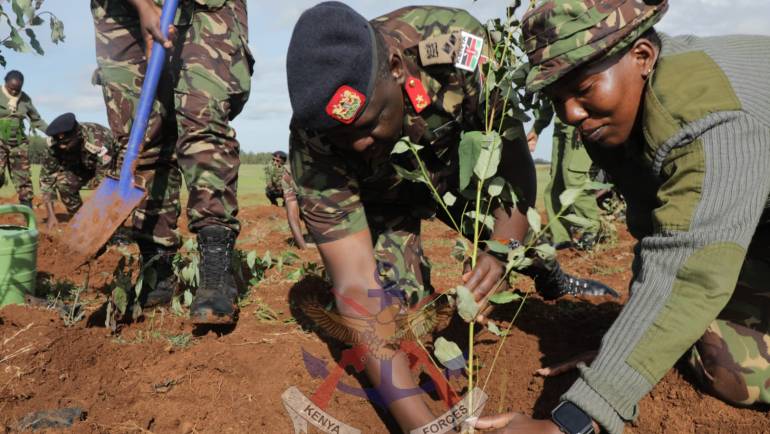 DFRTS TREE PLANTING INITIATIVE: A COMMITMENT TO ENVIRONMENTAL CONSERVATION