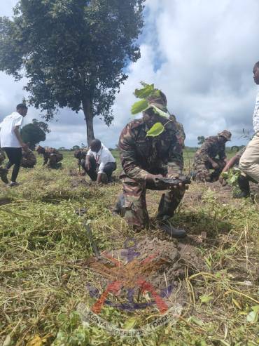 ROOTING FOR A GREENER FUTURE
