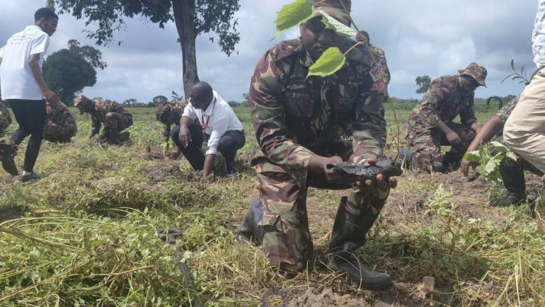 ROOTING FOR A GREENER FUTURE