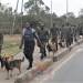 1ST CANINE REGIMENT CELEBRATIONS