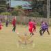 DMI HOLDS ANNUAL SPORTS DAY