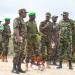 SAFEGUARDING PROFESSIONALISM ACROSS BORDERS