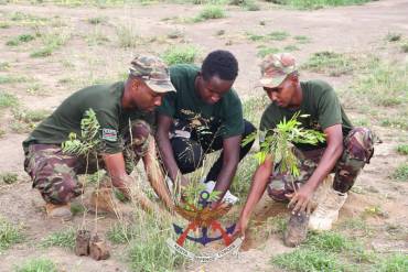 KDF, DEDAN KIMATHI FOUNDATION AND KFS JOIN HANDS IN MASSIVE TREE PLANTING EXERCISE 