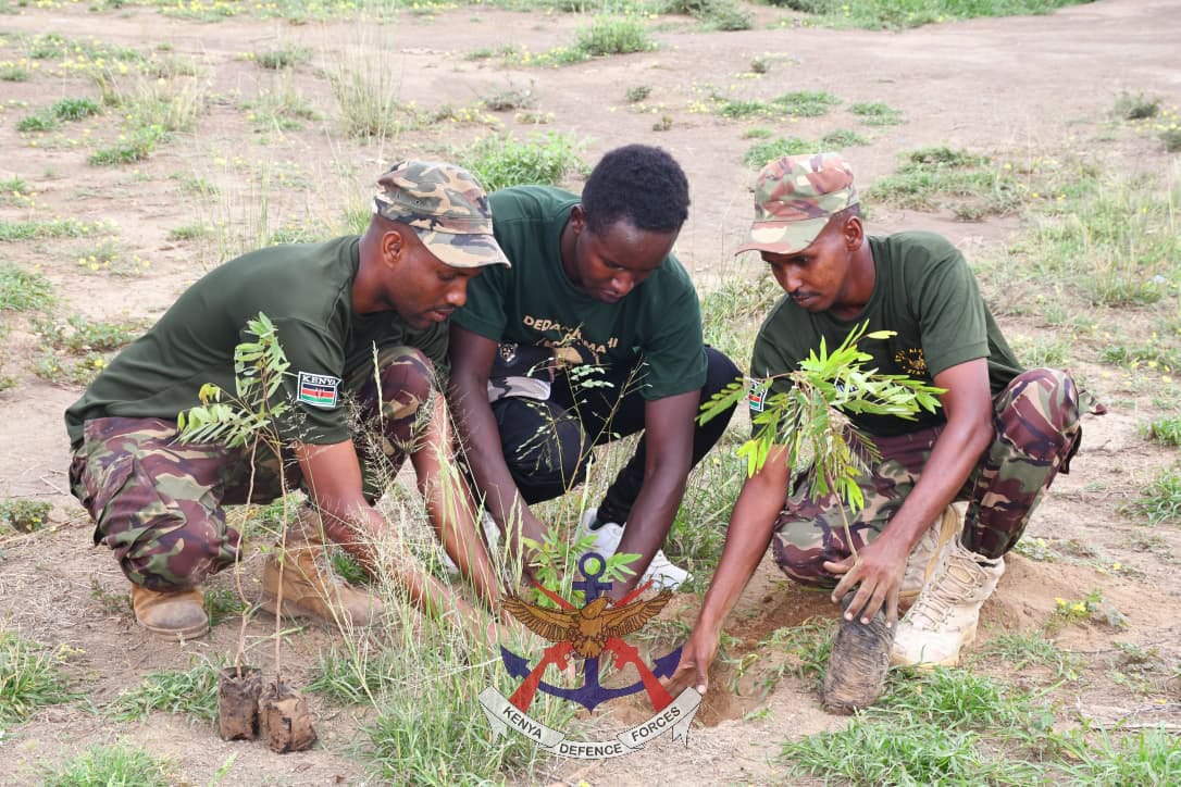 KDF, DEDAN KIMATHI FOUNDATION AND KFS JOIN HANDS IN MASSIVE TREE PLANTING EXERCISE