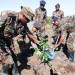 GREENING THE FUTURE: KENYA ARMY LEADS CLIMATE ACTION THROUGH COMMUNITY PARTNERSHIPS