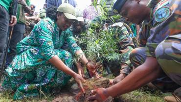 PLANT, PROTECT, PRESERVE