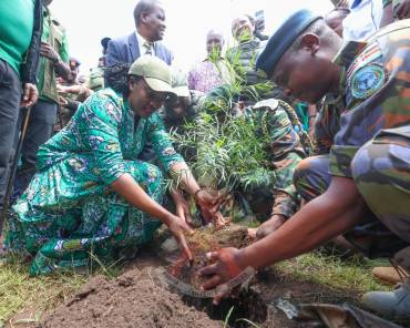 PLANT, PROTECT, PRESERVE