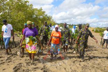 GREENING THE COAST: KENYA NAVY DRIVES ECOSYSTEM RESTORATION EFFORT 