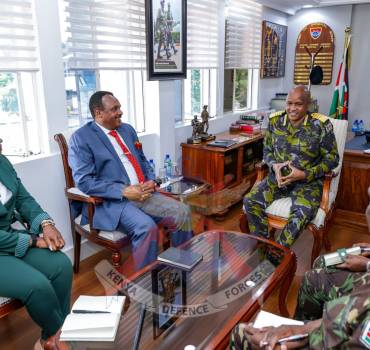 BUILDING NATIONAL CAPACITY THROUGH STRATEGIC PARTNERSHIPS