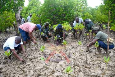 RESTORING COASTAL ECOSYSTEMS