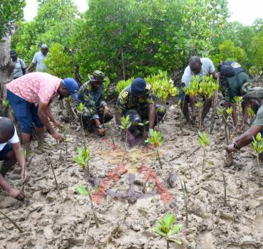 RESTORING COASTAL ECOSYSTEMS