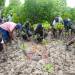 RESTORING COASTAL ECOSYSTEMS