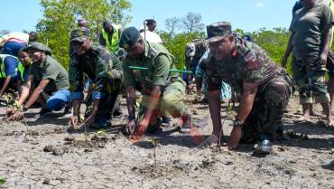 RESTORING MANGROVES, SUSTAINING COASTAL LIVELIHOODS