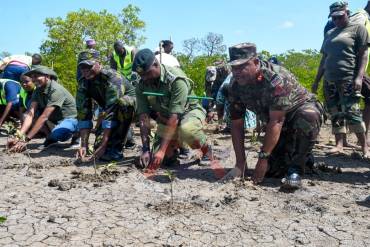 RESTORING MANGROVES, SUSTAINING COASTAL LIVELIHOODS