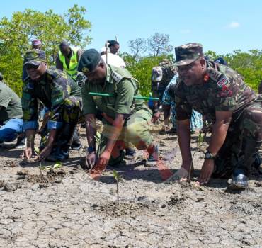 RESTORING MANGROVES, SUSTAINING COASTAL LIVELIHOODS