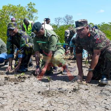 RESTORING MANGROVES, SUSTAINING COASTAL LIVELIHOODS