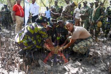 ANCHORING A SUSTAINABLE FUTURE THROUGH MANGROVE RESTORATION