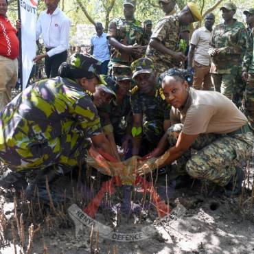ANCHORING A SUSTAINABLE FUTURE THROUGH MANGROVE RESTORATION