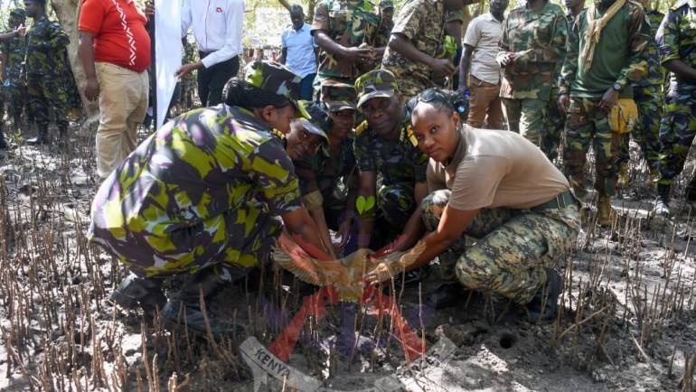 ANCHORING A SUSTAINABLE FUTURE THROUGH MANGROVE RESTORATION