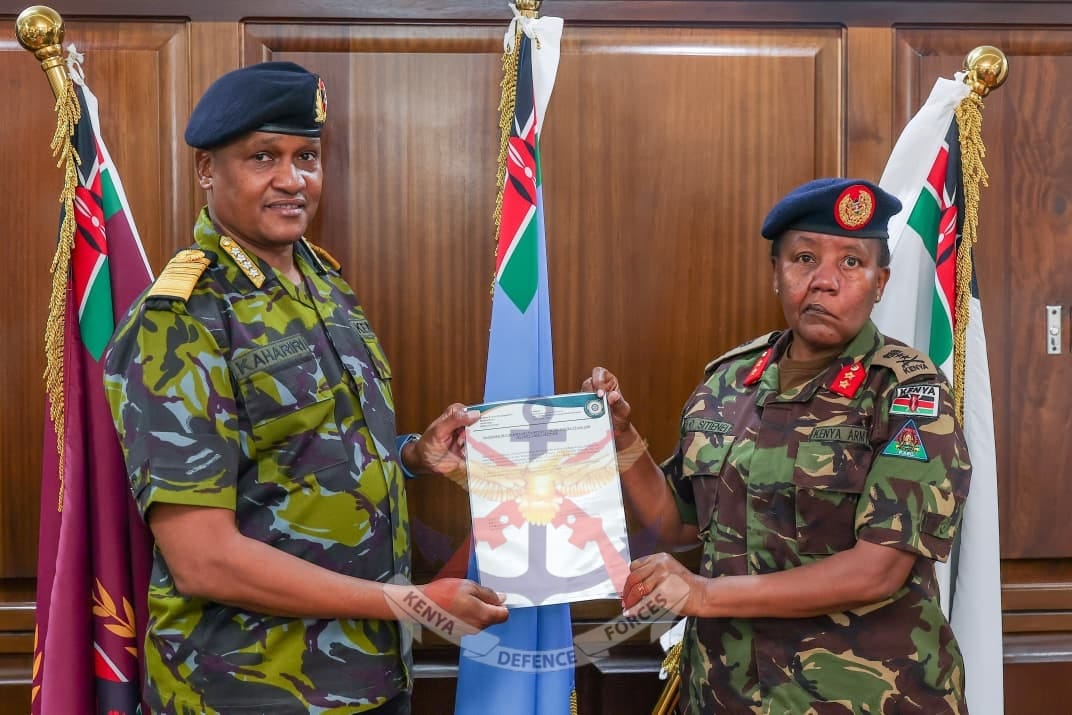 LEADING THE GLOBAL WOMEN, PEACE AND SECURITY AGENDA