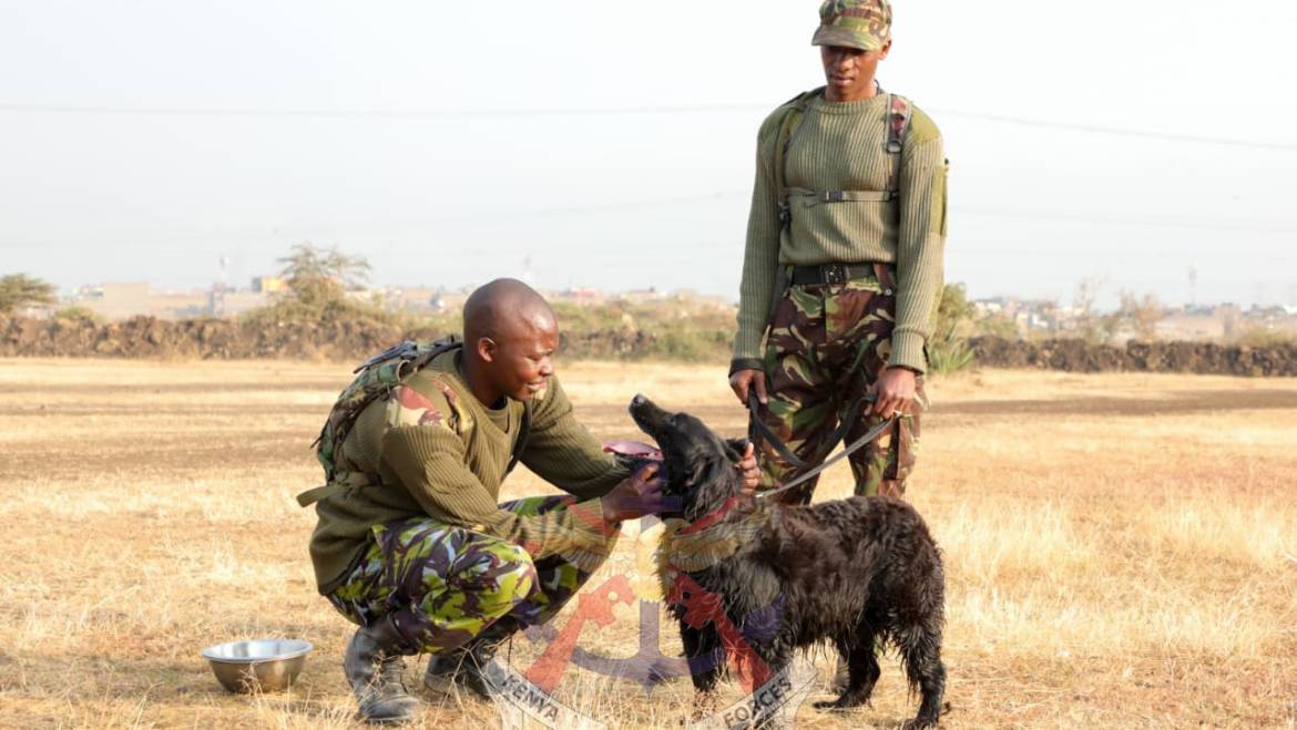 PAWS, PURPOSE AND PRIDE: 1ST CANINE REGIMENT CELEBRATES A LEGACY OF SERVICE