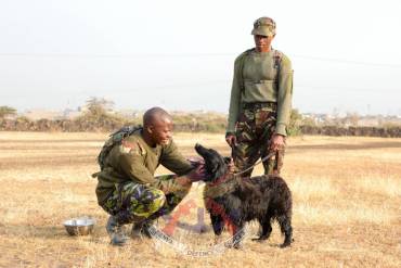 PAWS, PURPOSE AND PRIDE: 1ST CANINE REGIMENT CELEBRATES A LEGACY OF SERVICE