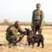 PAWS, PURPOSE AND PRIDE: 1ST CANINE REGIMENT CELEBRATES A LEGACY OF SERVICE