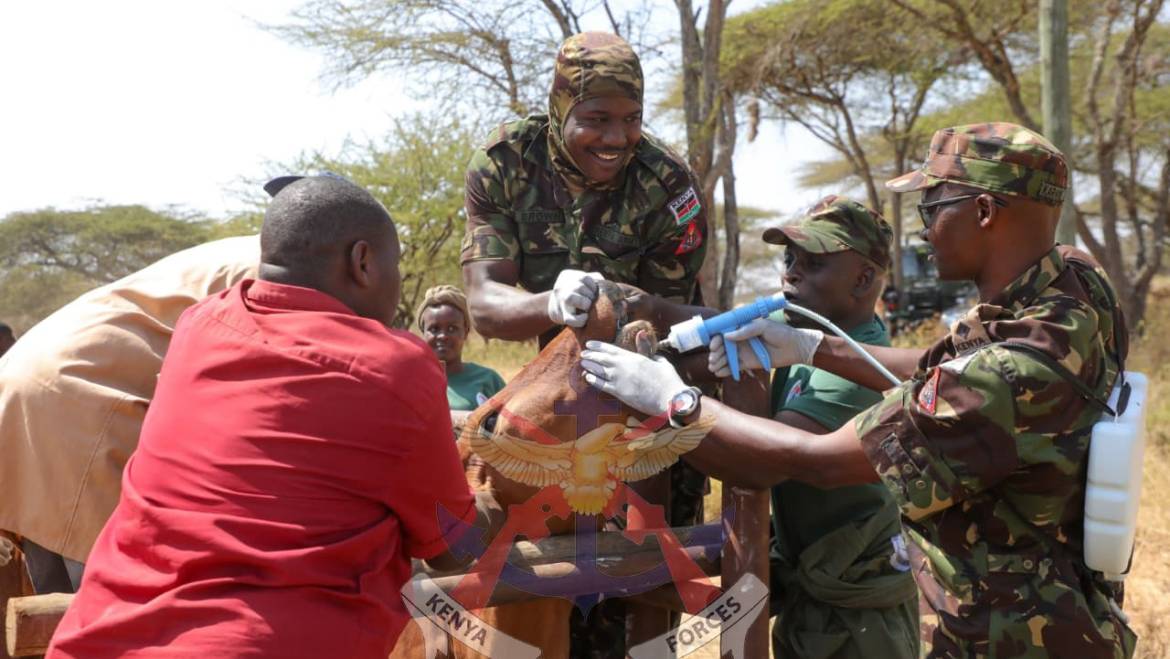 HEALTHY HERDS, STRONGER TIES: KDF EXTENDS FREE VETERINARY CARE TO KAJIADO
