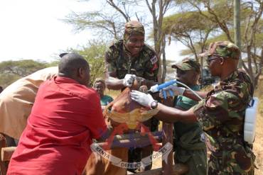 HEALTHY HERDS, STRONGER TIES: KDF EXTENDS FREE VETERINARY CARE TO KAJIADO