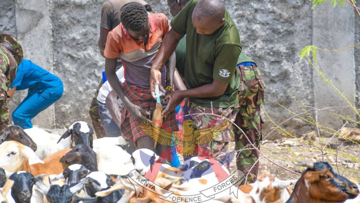 BUILDING RESILIENCE, SUSTAINING PEACE