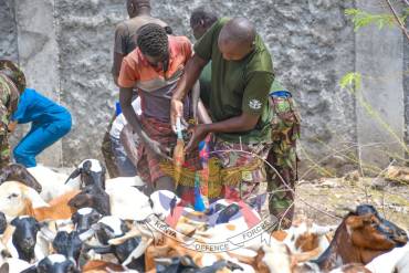 BUILDING RESILIENCE, SUSTAINING PEACE