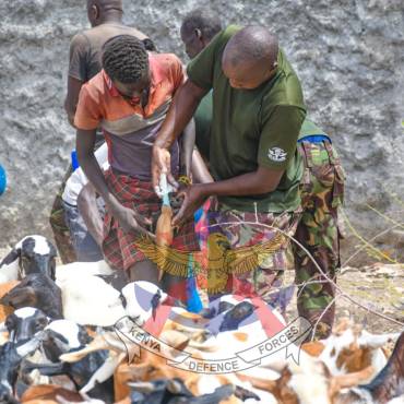 BUILDING RESILIENCE, SUSTAINING PEACE