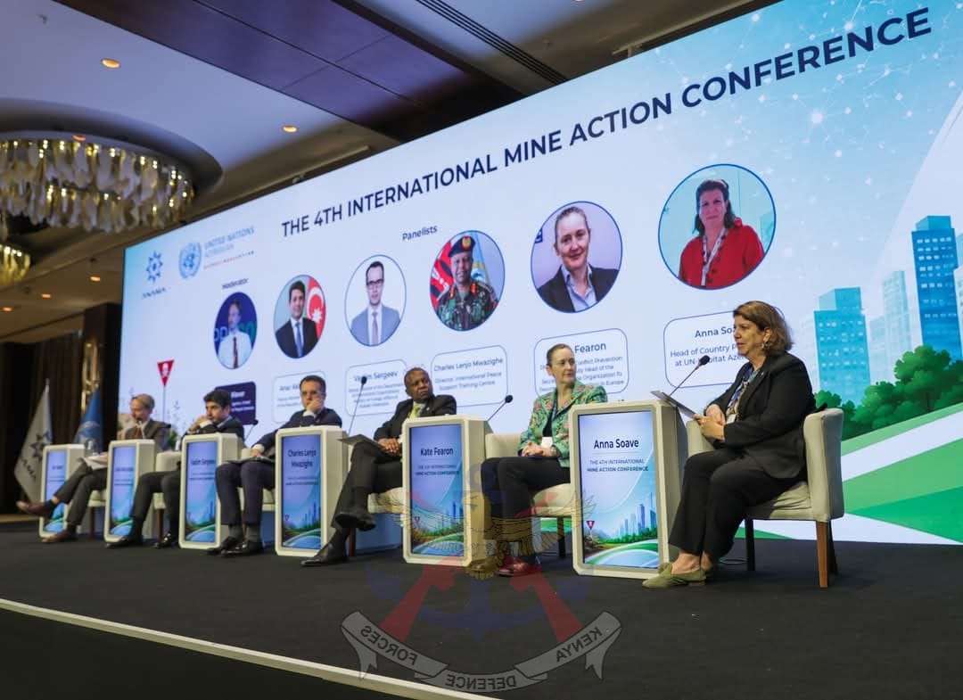 CHAMPIONING POLICY INTEGRATION IN MINE ACTION