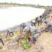 KDF FRONTS ENVIRONMENTAL SECURITY TO COUNTER CLIMATE THREATS AND STRENGTHEN NATIONAL RESILIENCE