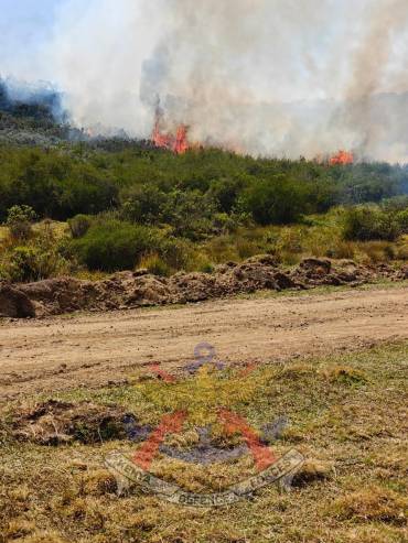 KDF AND COMMUNITIES UNITE TO PROTECT MT. KENYA FOREST ECOSYSTEM